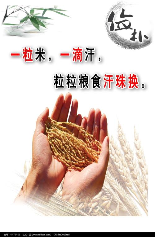 UniversitàdiPadova学历认证